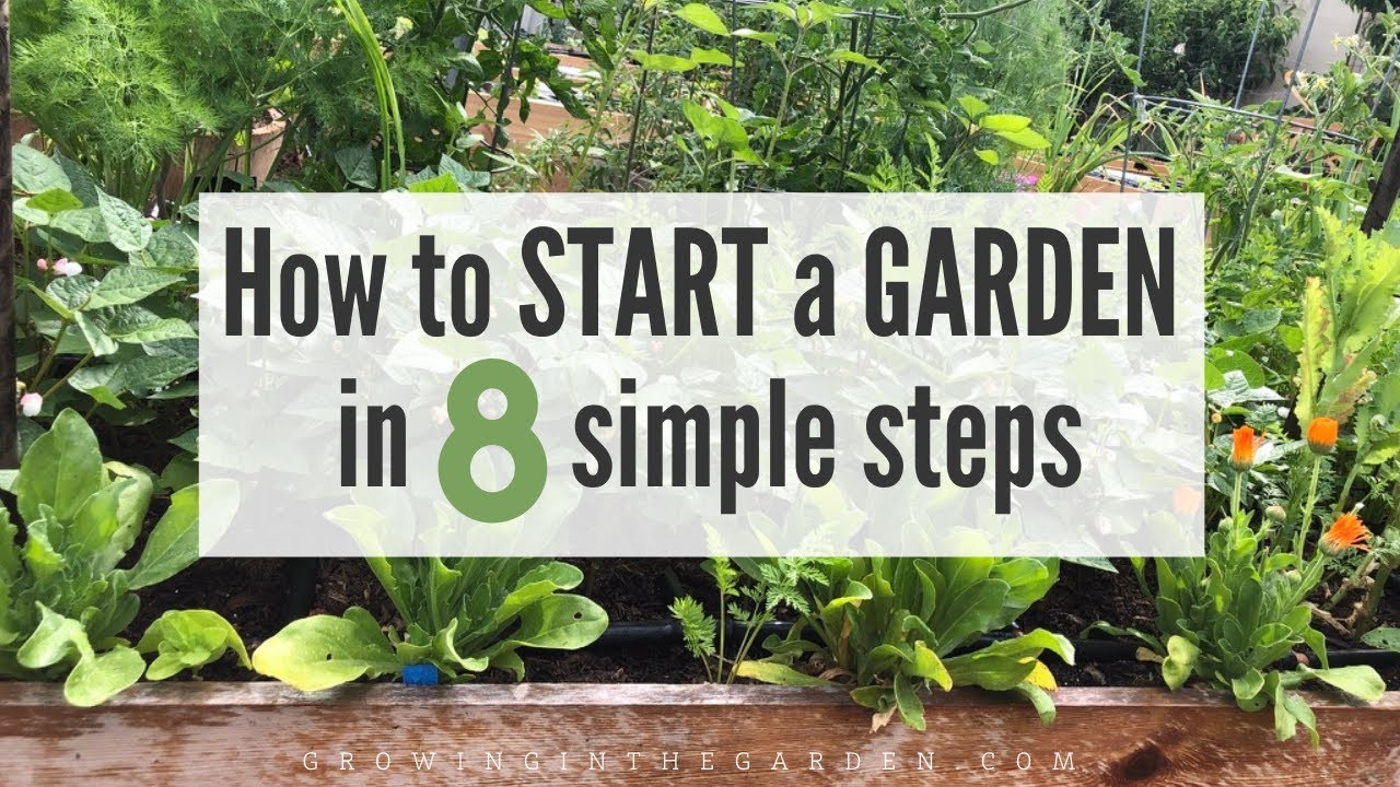 How To START A GARDEN In 8 SIMPLE STEPS - YouTube