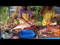 കൊല്ലക്കാരുടെ ഫിഷ് കട്ടിങ് kollam harbour fish cutting