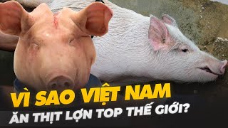 VÌ SAO VIỆT NAM ĂN THỊT LỢN TOP ĐẦU THẾ GIỚI?