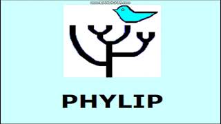 How to construct the phylogenetic trees using PHYLIP package