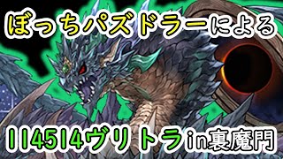 【パズドラ】某ヴリトラ信奉者とお友達になるために裏修羅に行っただけの動画(HPを114514にしたパーティで裏魔門の守護者！)