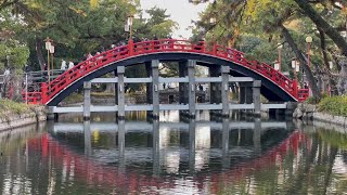 令和5年 元日　住吉大社 初詣　Hatsumode Sumiyoshi-taisha Osaka, New Year's Day 2023　(2023.1.1)