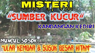 Mengkuak misteri SUMBER KUCUR kandangan,  KEDIRI