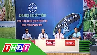 Tư vấn khuyến nông 27/5/2017 | Công ty BAYER - Giúp cây lúa hạn chế sâu bệnh | THDT