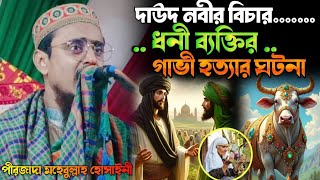 দাউদ নবীর বিচার┇ধনী ব্যক্তির গাভী হত্যার ঘটনা┇Pirjada Mohibbulla Hussaini Waz┇ মহেবুল্লাহ হুসাইনী