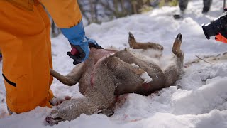 -10℃。極寒の雪山で獲れたシカでBBQ。至高の贅沢。