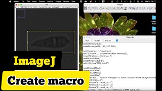 How to automate image processing in ImageJ  with a single click (How to create a macro in ImageJ)