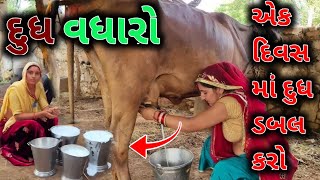 🐄ગાય-ભેંસ🐃 ને ગોળ ની સાથે ખવડાવી દો 5-7 લીટર દુધ વધારો   😘 પશુ નુ દુધ વધારવા દેશી ઉપાય 🥰