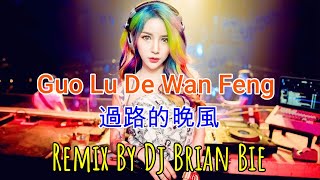 Guo Lu De Wan Feng - 過路的晚風(Electro Manyao) By Dj Brian Bie #dj抖音版2023