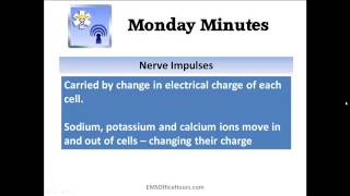 EMS Quick Study Help | The Nervous System