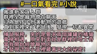 【完結】誤入鄰居寵物群聊，竟發現小區裡暗藏驚天秘密！一隻橘貓報價兩個罐罐，改變了我的人生輪廓！