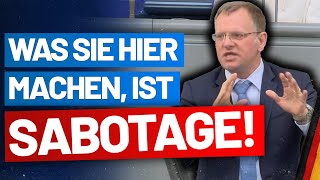 Werte Grüne, wir wollen Ihre Familienbande nicht! Dr. Dirk Spaniel - AfD-Fraktion im Bundestag