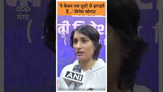 Delhi Election: 'ये केवल एक दूसरे से झगड़ते हैं...'- Vinesh Phogat I ABP GANGA SHORTS