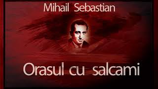 Mihail Sebastian - Orasul cu salcami (1989) #teatruvechi #teatruradiofonic #teatruaudio #teatru