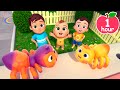 Itsy Bitsy Spider Song | Newborn Baby Songs & Nursery Rhymes