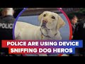 Device sniffing dogs being used by police (CNET News)