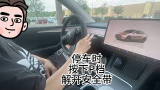 TESLA开车下车仪式感