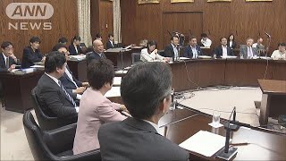 “カジノ法案”成立目前の攻防　野党の対抗策は？(18/07/19)