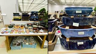 【４Ｋ】第41回日本盆栽大観展 The 41st Japan Bonsai Grand Exhibition Part 5 Bonsai and equipment shops