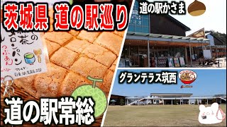 【道の駅 常総】茨城県道の駅巡り!!オープンして1年経った『道の駅常総』の混雑は!?道の駅かさま→グランテラス筑西→道の駅常総の旅。