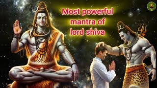 शिव मंत्र: महादेव का दिव्य आशीर्वाद प्राप्त करें | most powerful mantra of lord shiva |#shiv #mantra