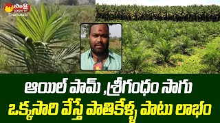 ఆయిల్ పామ్ సాగుతో అందివచ్చే లాభాలు | Palm Oil Farmer | Sakshi TV Sagubadi