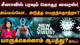 சீனாவில் பரவும் கொடூர வைரஸ்! அய்யய்யோ.. அடுத்த பெருந்தொற்றா? யாருக்கெல்லாம் ஆபத்து | HMPV Virus |PTD