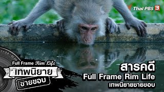 ภาพยนตร์สารคดีเรื่องราวของชีวิตลิงสามชนิด | สารคดี Full Frame Rim Life เทพนิยายชายขอบ ซีซัน 2