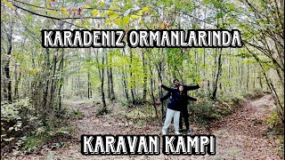 KARADENİZ ORMANLARINDA KARAVAN KAMPI - EŞEK ARISI BİZİ ÇOK SEVDİ