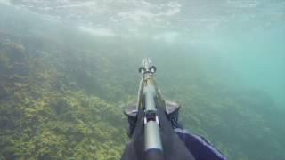 Summer 2k16 spearfishing\\freediving [4k]60fps