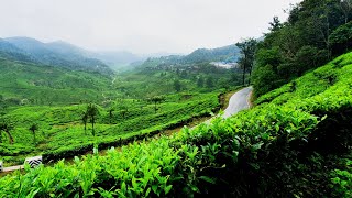 Elappara Town- A Distant View