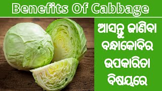 Bandhakobi ra upakarita || ବନ୍ଧାକୋବିର ଉପକାରିତା || Benefits Of Cabbage || Upakarita