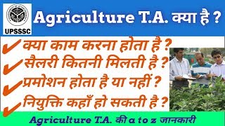 Agriculture T.A.के कार्य और वेतन/पदौन्नति होगी या नहीं/नियुक्ति कहा कराएगा बोर्ड/a to z जानकारी