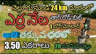 💐𝕃𝕒𝕟𝕕 𝕤𝕠𝕝𝕕 𝕠𝕦𝕥💐3.5 acres//Nellore district// పోదలకూరు మండలం//9676114449