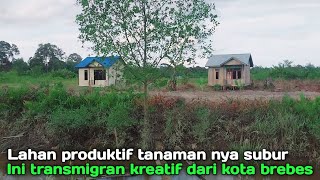 Transmigran kreatif dan lahan pak tarhadi sudah produktif tanaman nya subur banget hidup semua