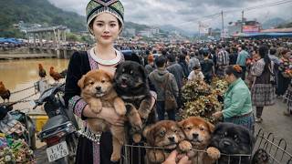 Chợ Phiên Tây Bắc Ẩm Thực Đặc Sắc Và C.hó Hmong Cộc Bắc Hà