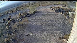 Timelapse Video of Oatman Mountain 20241225