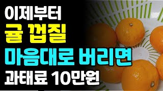 이제부터 귤 껍질 이렇게 버리면 과태료 10만원