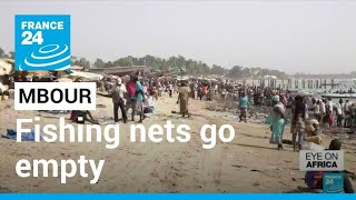 'One Ocean Summit': In the city of Mbour, fishing nets go empty • FRANCE 24 English