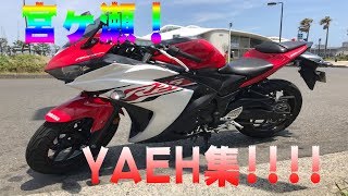 【YAEH】宮ヶ瀬はいいよな～♪ヤエー集１