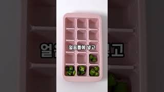 앞으로 고추는 이렇게 보관하세요 / 고추보관법