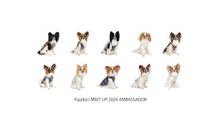 Papillon MEET UP 2024 AMBASSADOR 意気込み