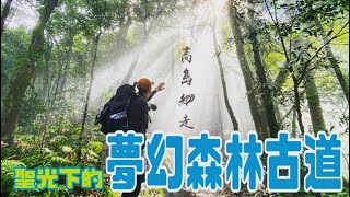 [太累登山中x高島縱走⛰️］一秒躺在天堂的軟墊上｜五星級牛排六星級露營區｜新手野營必來營地｜號稱日本人都迷戀的縱走路線｜#高島縱走#高台山#大島#中島#小島#mountain #aircraft