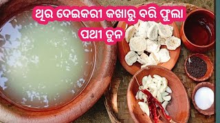 thir deikarik kharu bari fula‼️ଥିର ଦେଇକରୀ କଖାରୁ ବରି ଫୁଲା (ପଥୀ ତୁନ )@simple village khana