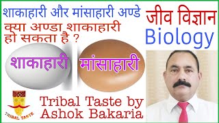 अंडा शाकाहारी भी होता है। Egg can be Vegetarian too.