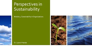 SNHU IDS-150 Module 4: Perspectives in Sustainability