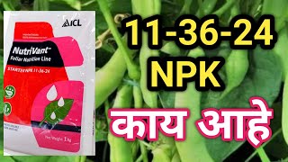 11-36-24 NPK काय आहे याचे फायदे l ICL Starter NPK 113624 use l 113624 benefits