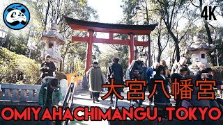 [4K]First Shrine Visit (Hatsumode) 2020  Omiya Hachimangu - Walk 大宮八幡宮で初詣