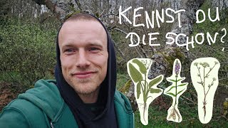 5 Außergewöhnliche Knollen für Deinen Garten - Die Kartoffel bekommt Konkurrenz