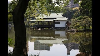 Walking around Tokyo No4 隅田川～清澄庭園 Sumida River ～ Kiyosumi Garden 4K